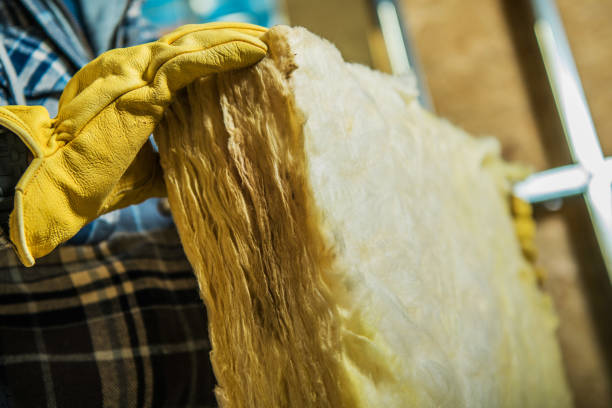 Best Garage Insulation Installation  in Winsted, MN